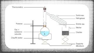 Hydrodistillation  une technique dextraction [upl. by Suraved]