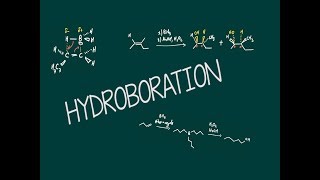 III2 Hydroboration [upl. by Ise]