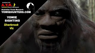 Yowie  Bigfoot Sighting Audio reports 160 in Sherbrooke Forest Victoria [upl. by Ecyor109]