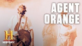 What Is Agent Orange  History [upl. by Cloe]